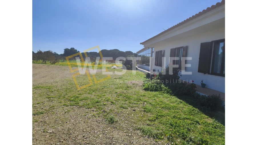 Quinta T3 para Venda em Torrão Foto 4