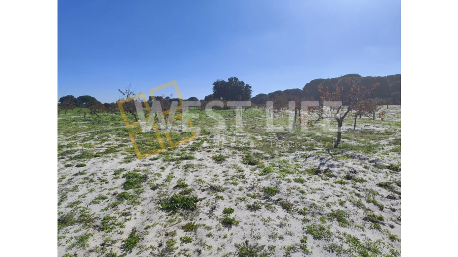 Quinta T3 para Venda em Torrão Foto 11