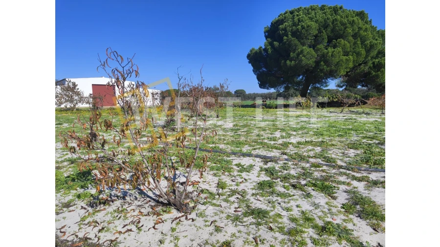 Quinta T3 para Venda em Torrão Foto 13