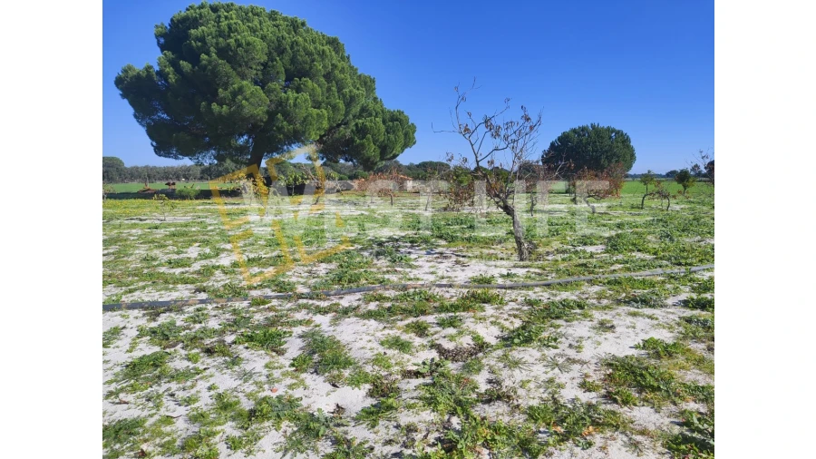 Quinta T3 para Venda em Torrão Foto 14