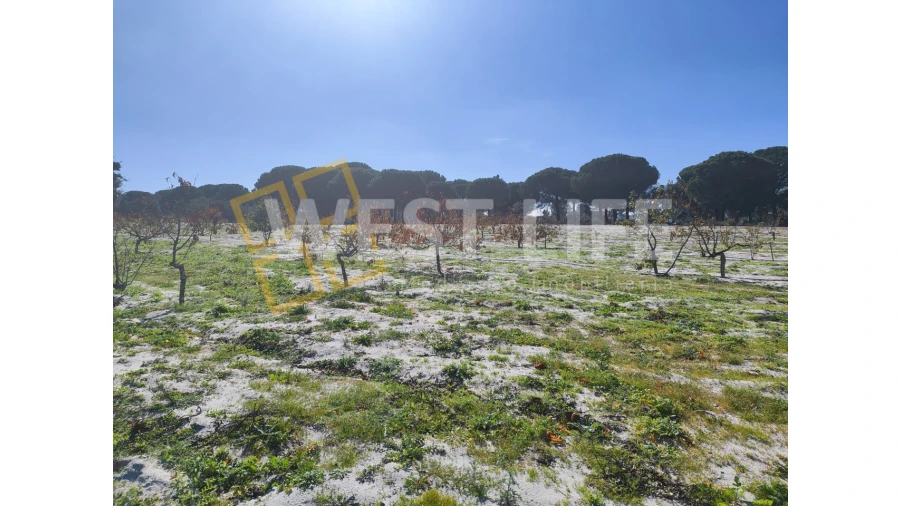 Quinta T3 para Venda em Torrão Foto 17