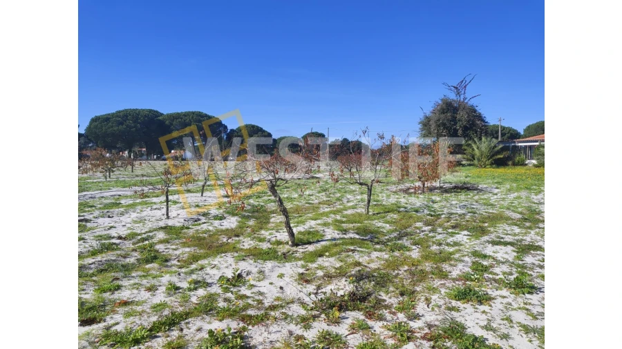 Quinta T3 para Venda em Torrão Foto 21