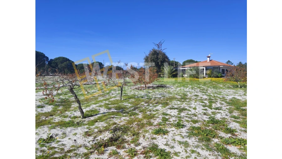 Quinta T3 para Venda em Torrão Foto 3