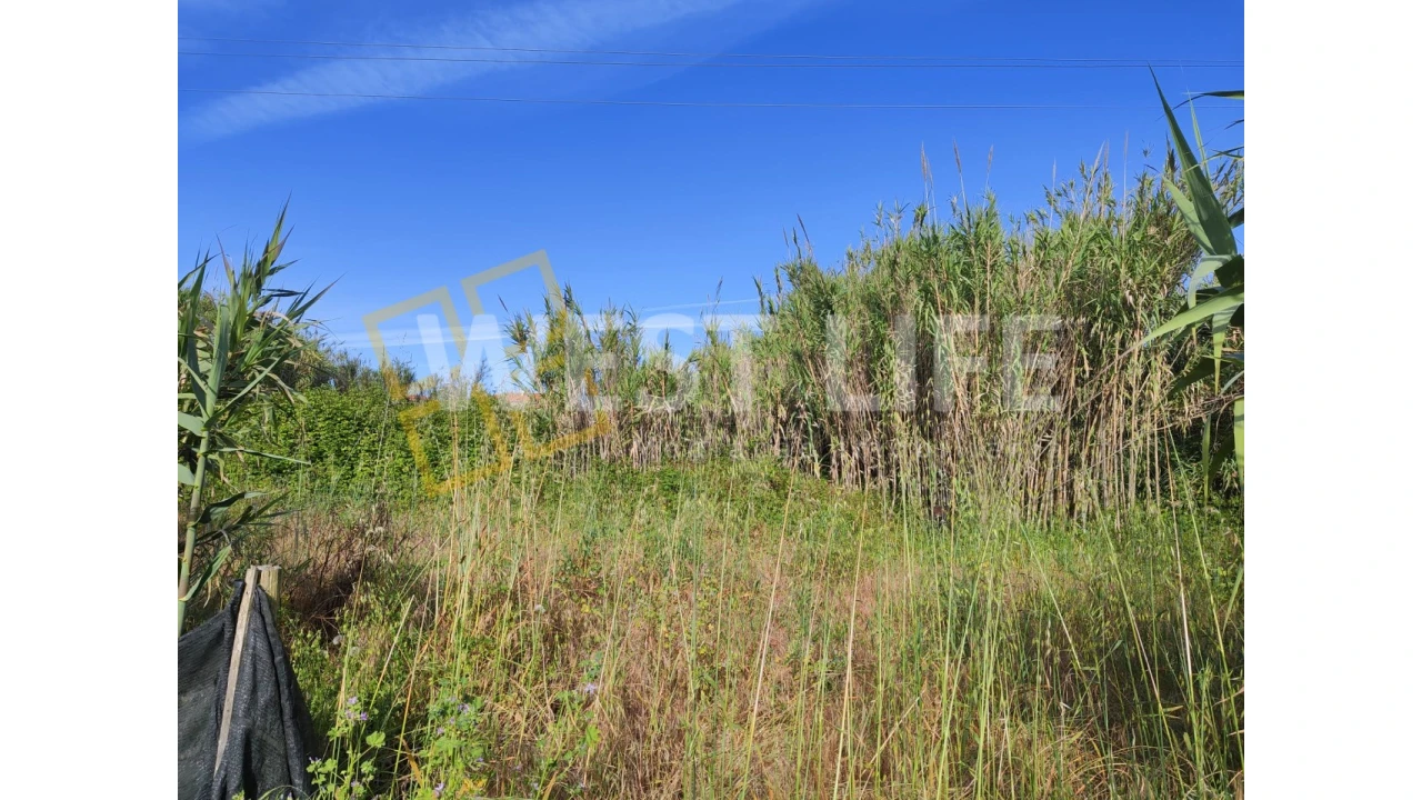 Terreno Agricola ou Rústico para Venda em Silveira Foto 7