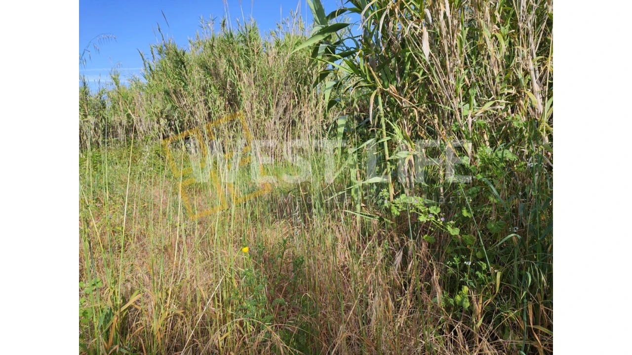 Terreno Agricola ou Rústico para Venda em Silveira Foto 12