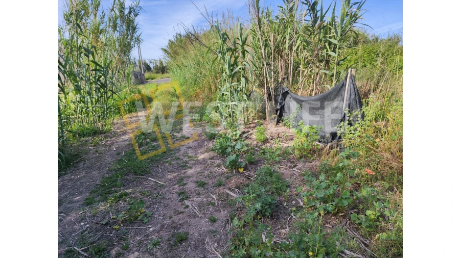 Terreno Agricola ou Rústico para Venda em Silveira Foto 13