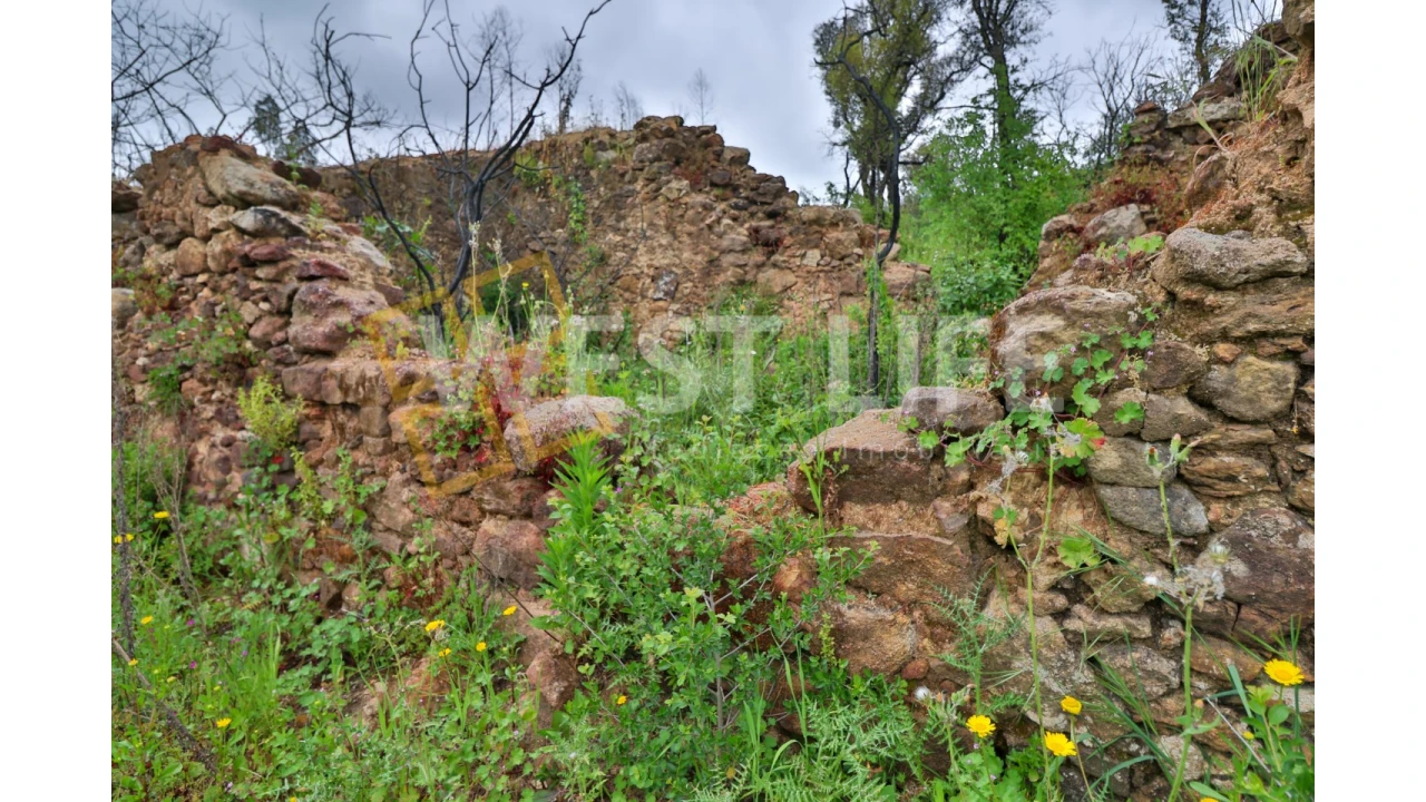 Terreno Agricola ou Rústico para Venda em Venda do Pinheiro e Santo Estêvão das Galés Foto 3