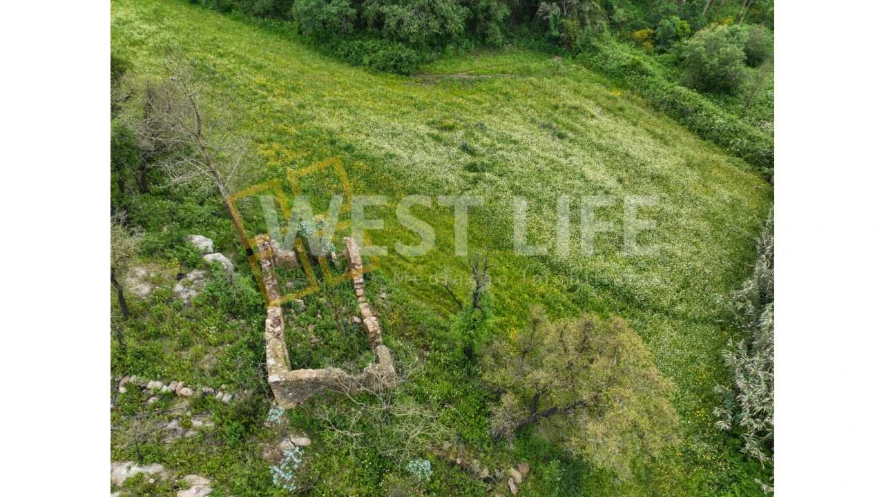 Terreno Agricola ou Rústico para Venda em Venda do Pinheiro e Santo Estêvão das Galés Foto 4