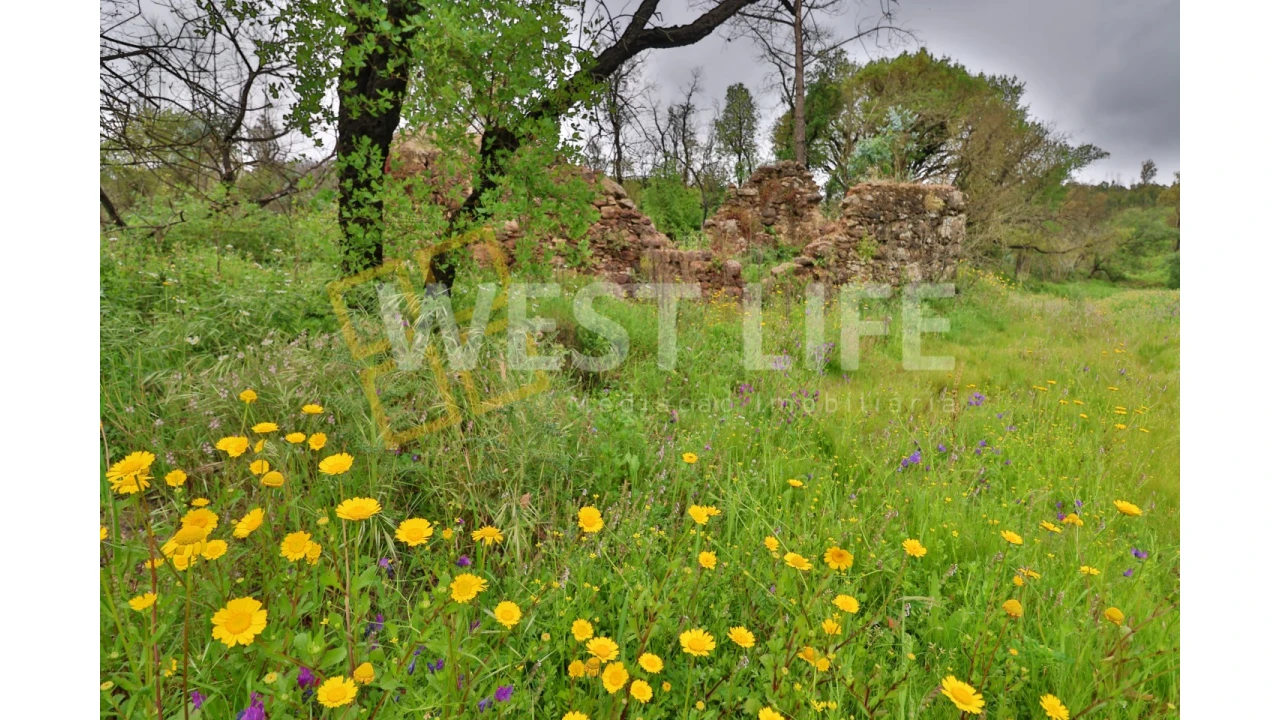 Terreno Agricola ou Rústico para Venda em Venda do Pinheiro e Santo Estêvão das Galés Foto 5