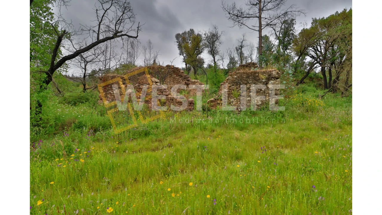 Terreno Agricola ou Rústico para Venda em Venda do Pinheiro e Santo Estêvão das Galés Foto 7