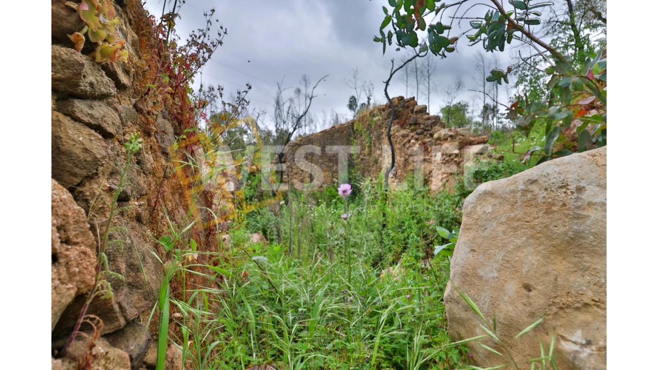 Terreno Agricola ou Rústico para Venda em Venda do Pinheiro e Santo Estêvão das Galés Foto 10