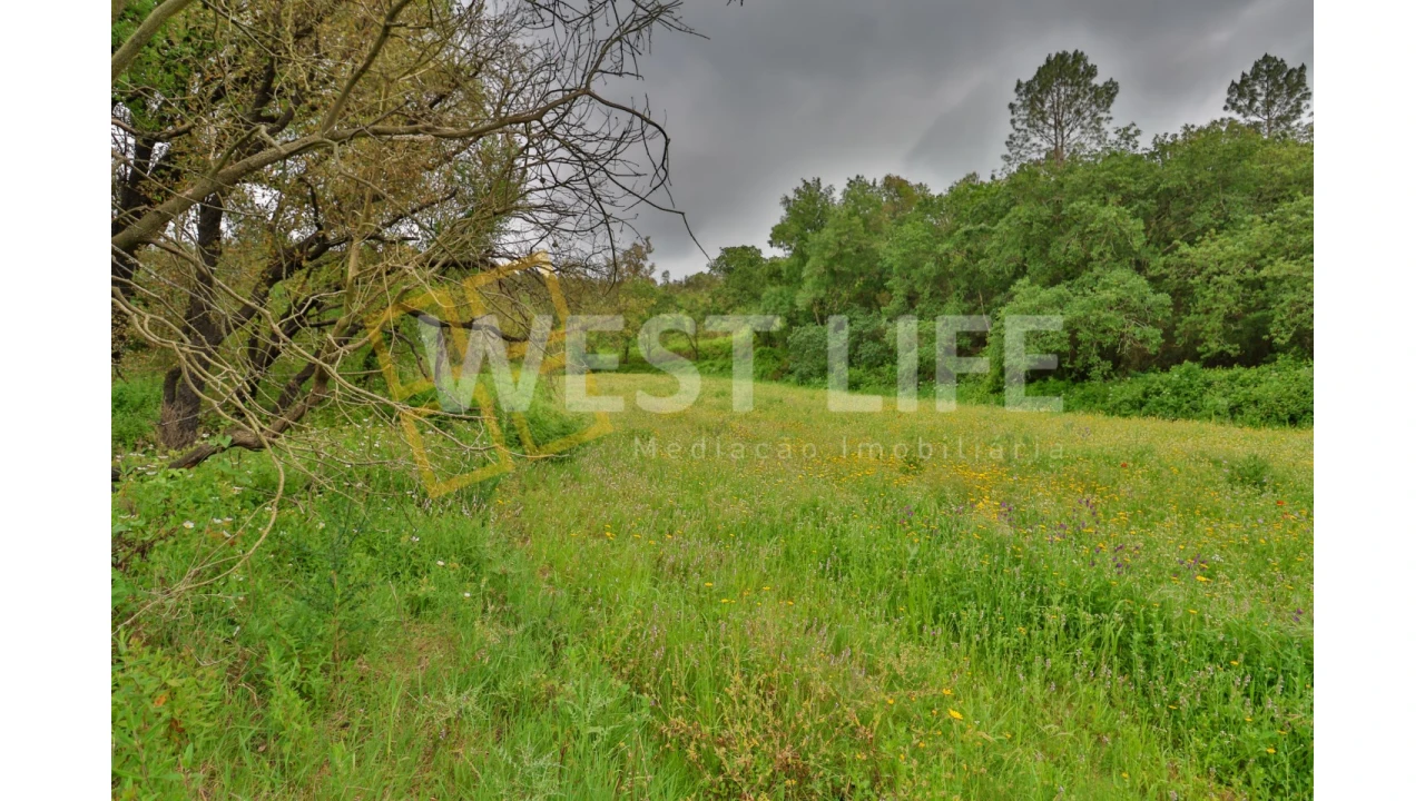 Terreno Agricola ou Rústico para Venda em Venda do Pinheiro e Santo Estêvão das Galés Foto 11