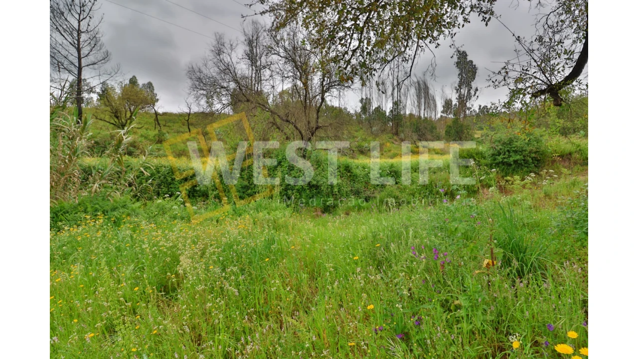 Terreno Agricola ou Rústico para Venda em Venda do Pinheiro e Santo Estêvão das Galés Foto 12