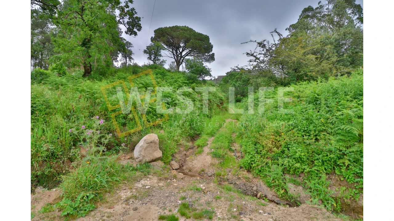 Terreno Agricola ou Rústico para Venda em Venda do Pinheiro e Santo Estêvão das Galés Foto 15