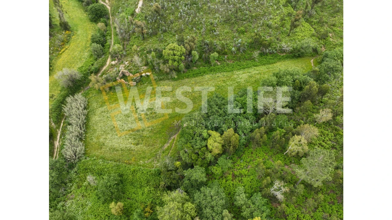 Terreno Agricola ou Rústico para Venda em Venda do Pinheiro e Santo Estêvão das Galés Foto 16