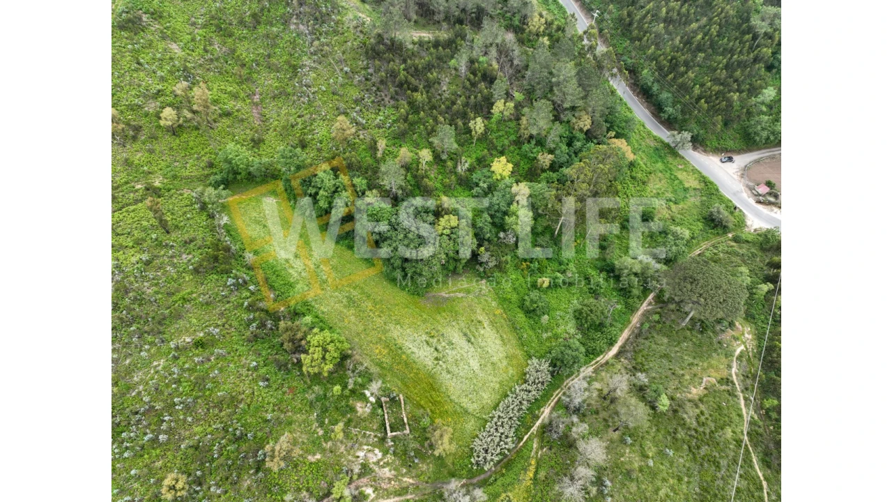 Terreno Agricola ou Rústico para Venda em Venda do Pinheiro e Santo Estêvão das Galés Foto 18
