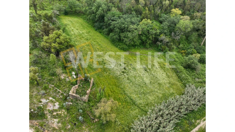 Terreno Agricola ou Rústico para Venda em Venda do Pinheiro e Santo Estêvão das Galés Foto 2