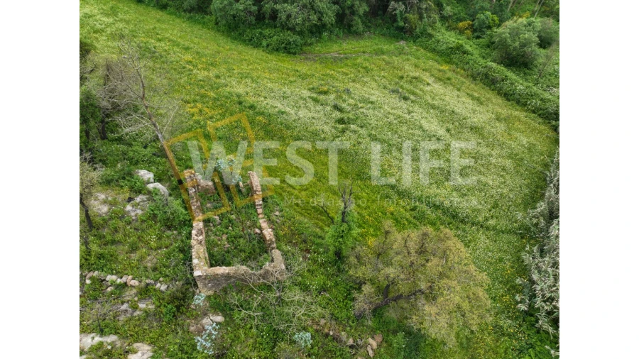 Terreno Agricola ou Rústico para Venda em Venda do Pinheiro e Santo Estêvão das Galés Foto 4