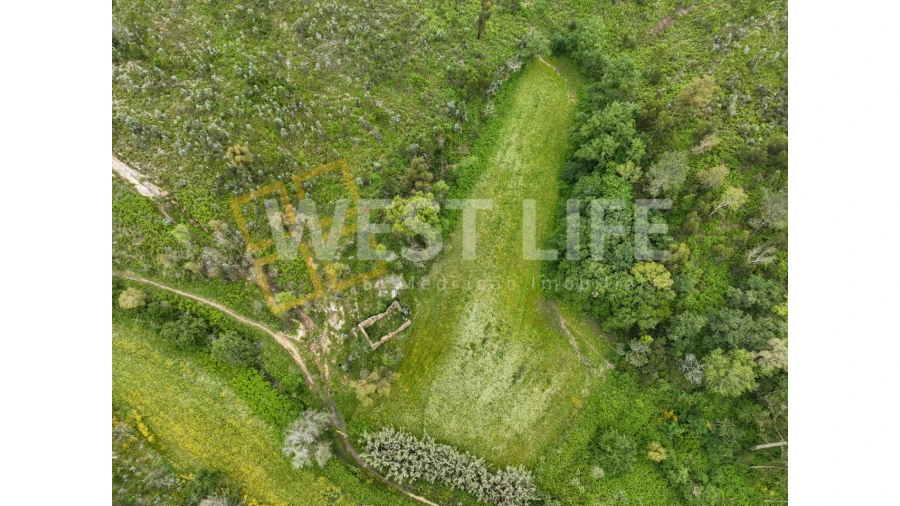 Terreno Agricola ou Rústico para Venda em Venda do Pinheiro e Santo Estêvão das Galés Foto 1