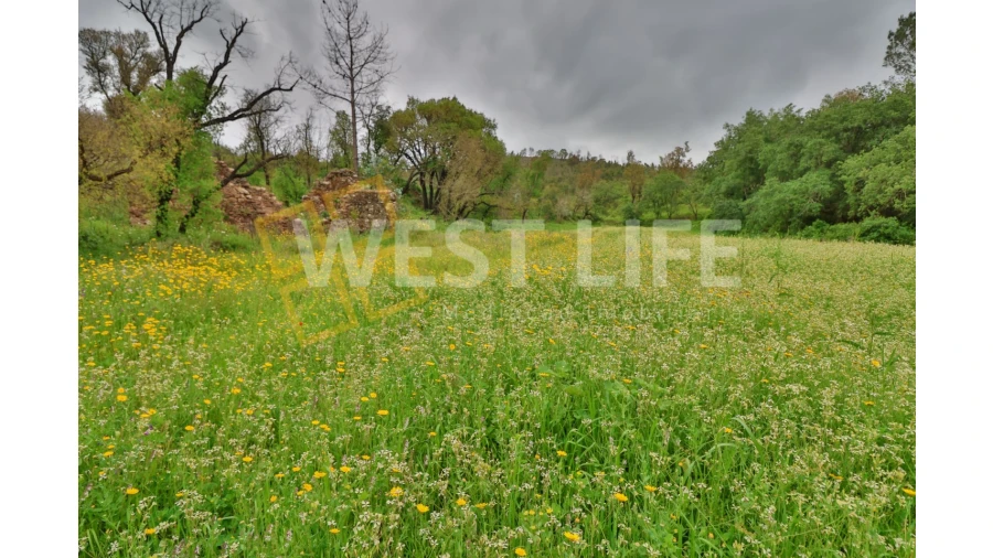 Terreno Agricola ou Rústico para Venda em Venda do Pinheiro e Santo Estêvão das Galés Foto 6
