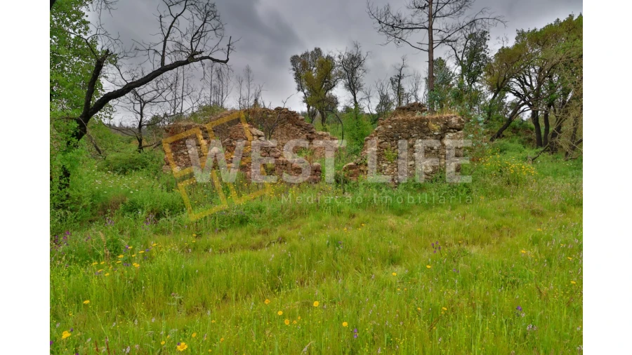 Terreno Agricola ou Rústico para Venda em Venda do Pinheiro e Santo Estêvão das Galés Foto 7