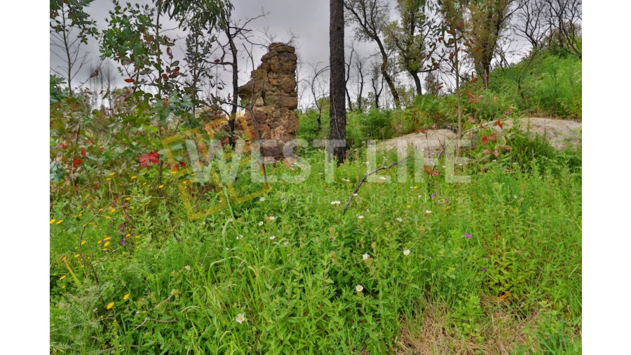 Terreno Agricola ou Rústico para Venda em Venda do Pinheiro e Santo Estêvão das Galés Foto 8