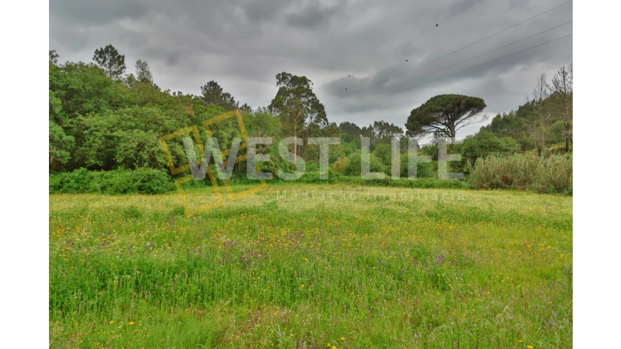 Terreno Agricola ou Rústico para Venda em Venda do Pinheiro e Santo Estêvão das Galés Foto 9