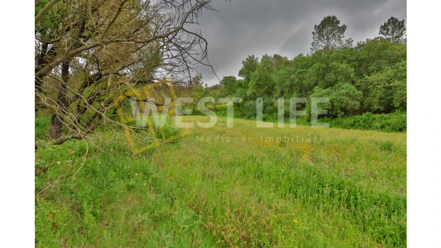 Terreno Agricola ou Rústico para Venda em Venda do Pinheiro e Santo Estêvão das Galés Foto 11