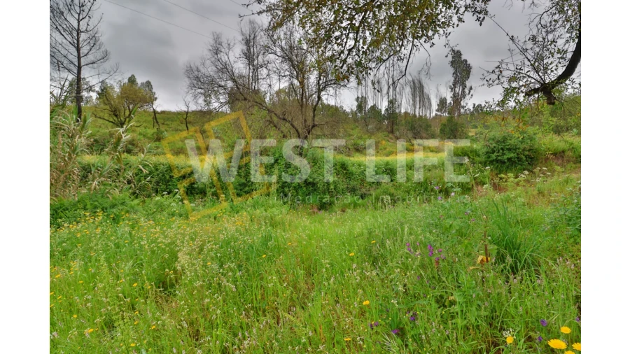 Terreno Agricola ou Rústico para Venda em Venda do Pinheiro e Santo Estêvão das Galés Foto 12