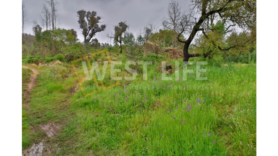 Terreno Agricola ou Rústico para Venda em Venda do Pinheiro e Santo Estêvão das Galés Foto 13