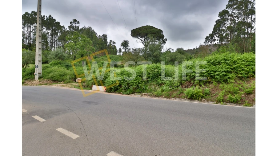 Terreno Agricola ou Rústico para Venda em Venda do Pinheiro e Santo Estêvão das Galés Foto 14