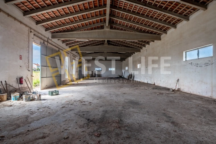Armazém para Venda em Mafra Foto 4
