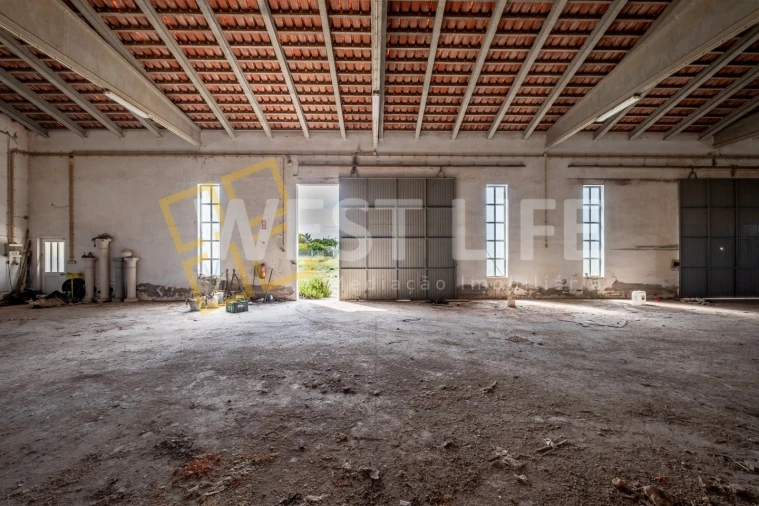 Armazém para Venda em Mafra Foto 7