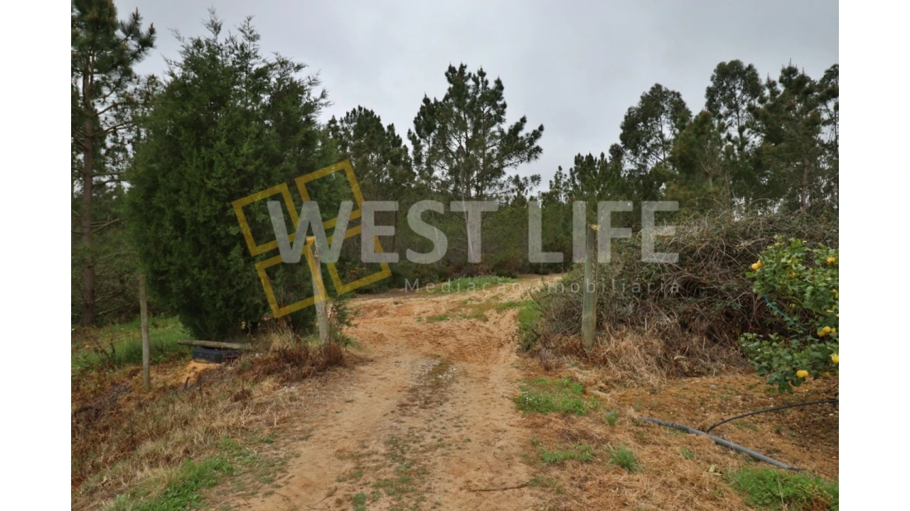 Terreno Agricola ou Rústico para Venda em Azueira e Sobral da Abelheira Foto 1