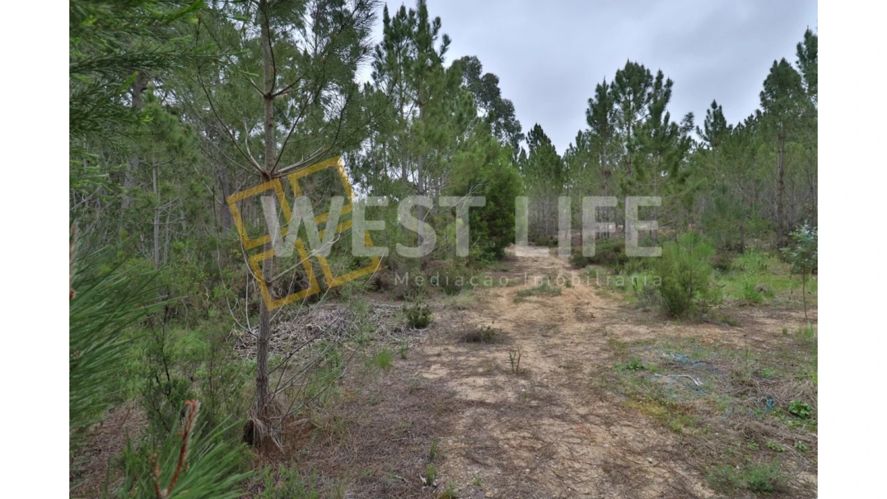 Terreno Agricola ou Rústico para Venda em Azueira e Sobral da Abelheira Foto 4