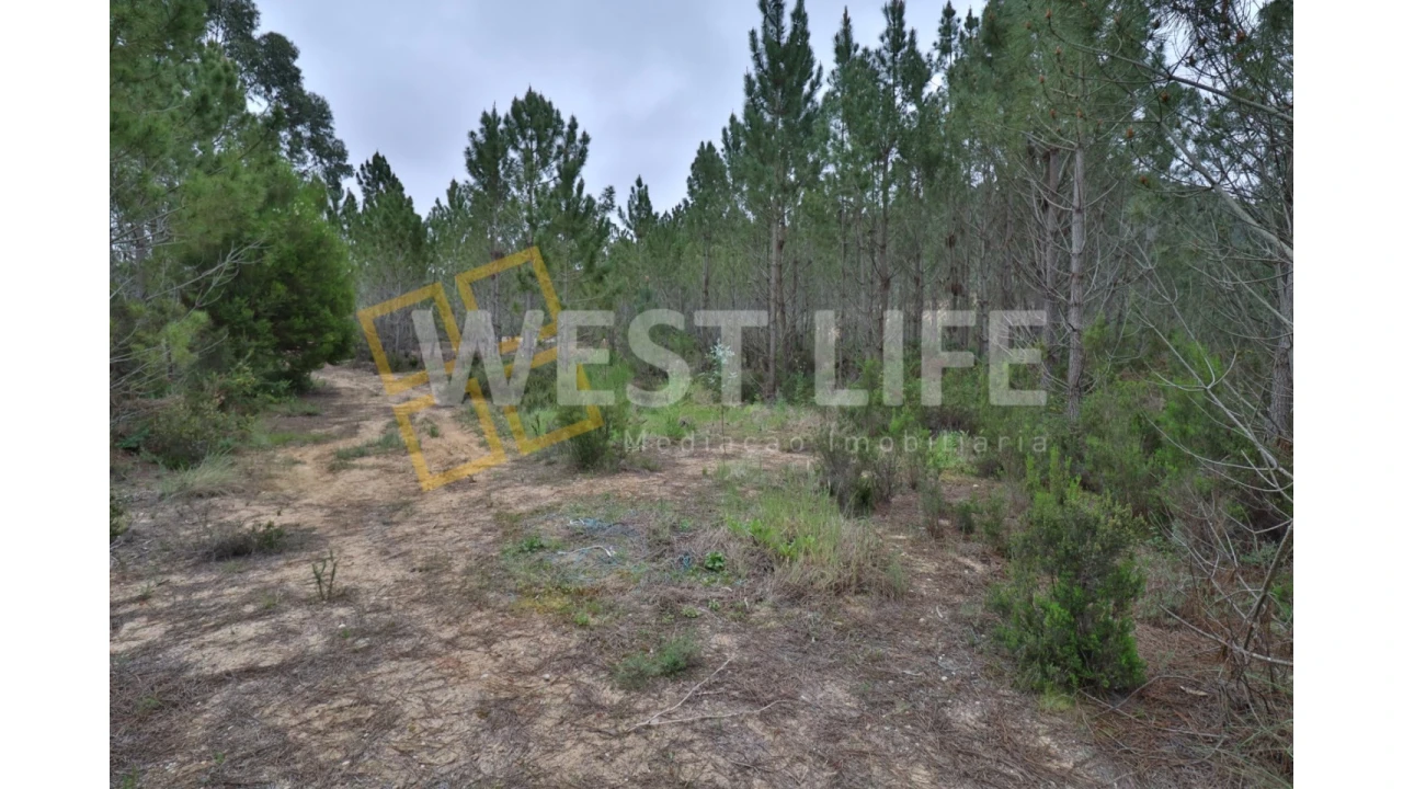 Terreno Agricola ou Rústico para Venda em Azueira e Sobral da Abelheira Foto 8