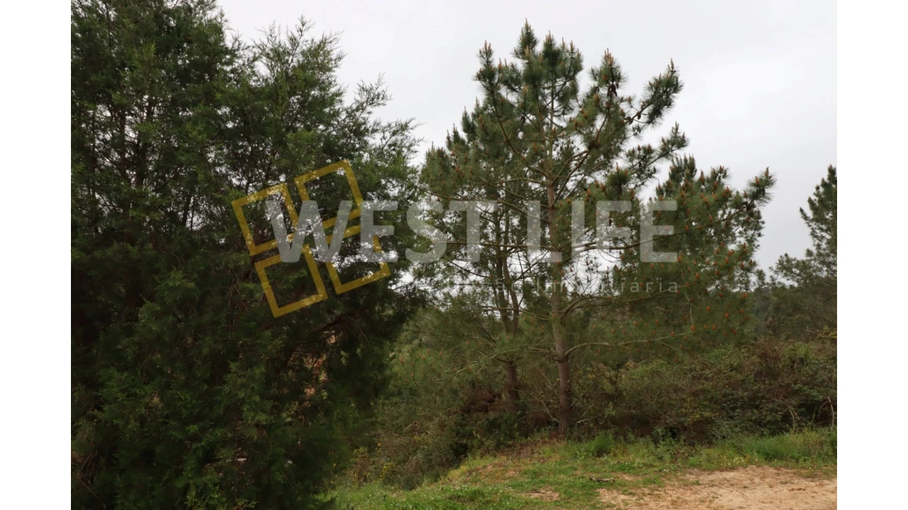 Terreno Agricola ou Rústico para Venda em Azueira e Sobral da Abelheira Foto 9