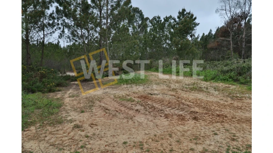Terreno Agricola ou Rústico para Venda em Azueira e Sobral da Abelheira Foto 2