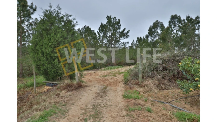 Terreno Agricola ou Rústico para Venda em Azueira e Sobral da Abelheira Foto 3