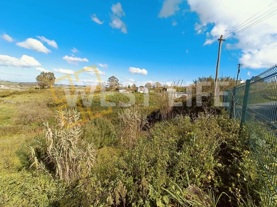 Terreno para Venda em Santo Quintino Foto 10