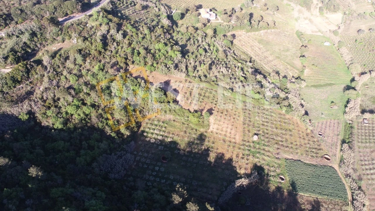 Terreno Agricola ou Rústico para Venda em Azueira e Sobral da Abelheira Foto 2