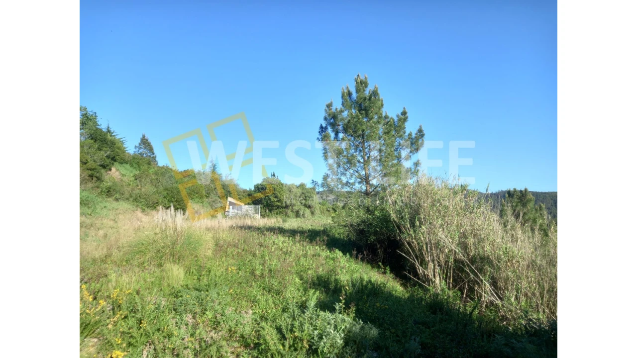 Terreno Agricola ou Rústico para Venda em Azueira e Sobral da Abelheira Foto 5
