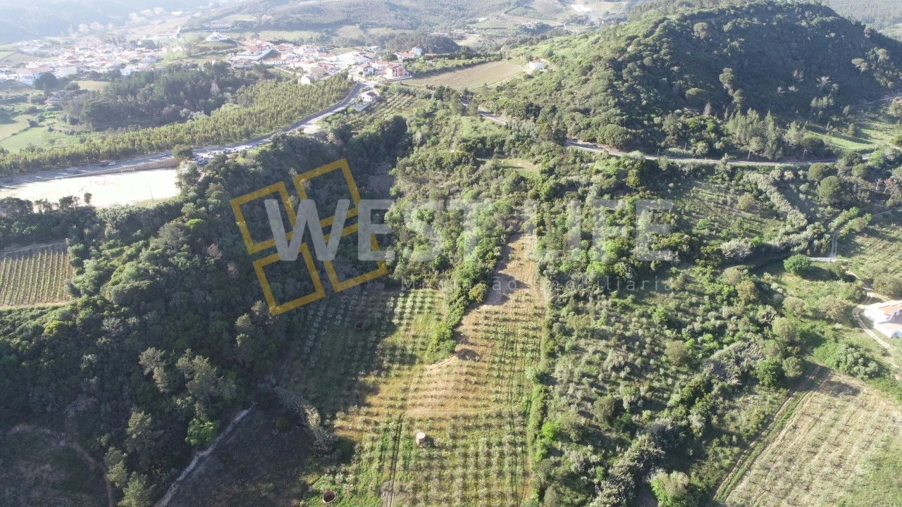 Terreno Agricola ou Rústico para Venda em Azueira e Sobral da Abelheira Foto 6