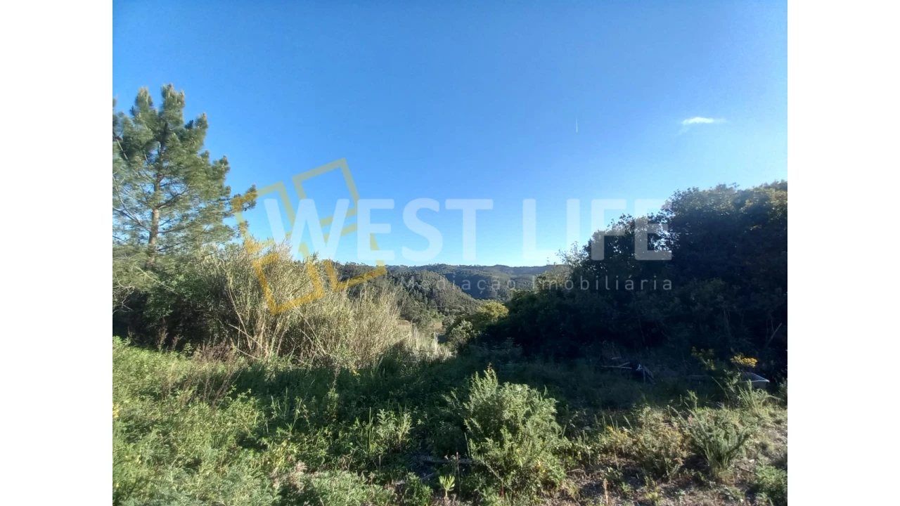 Terreno Agricola ou Rústico para Venda em Azueira e Sobral da Abelheira Foto 7