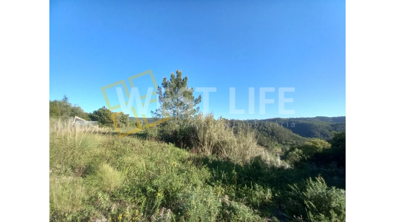 Terreno Agricola ou Rústico para Venda em Azueira e Sobral da Abelheira Foto 13