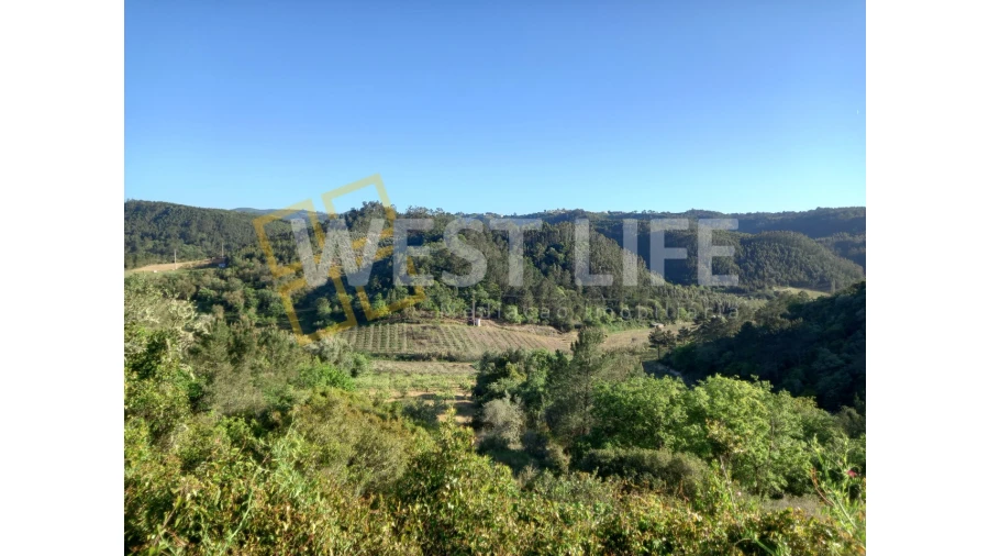 Terreno Agricola ou Rústico para Venda em Azueira e Sobral da Abelheira Foto 3