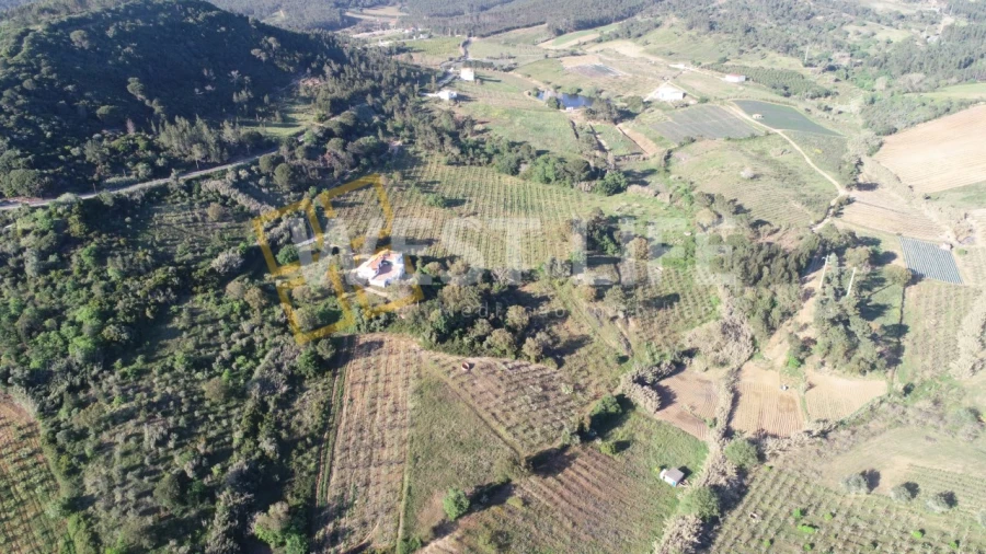 Terreno Agricola ou Rústico para Venda em Azueira e Sobral da Abelheira Foto 4