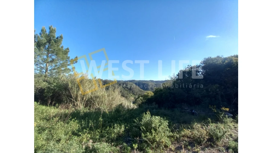 Terreno Agricola ou Rústico para Venda em Azueira e Sobral da Abelheira Foto 7
