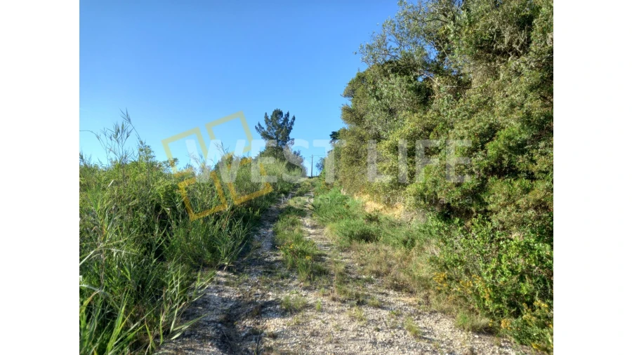 Terreno Agricola ou Rústico para Venda em Azueira e Sobral da Abelheira Foto 9