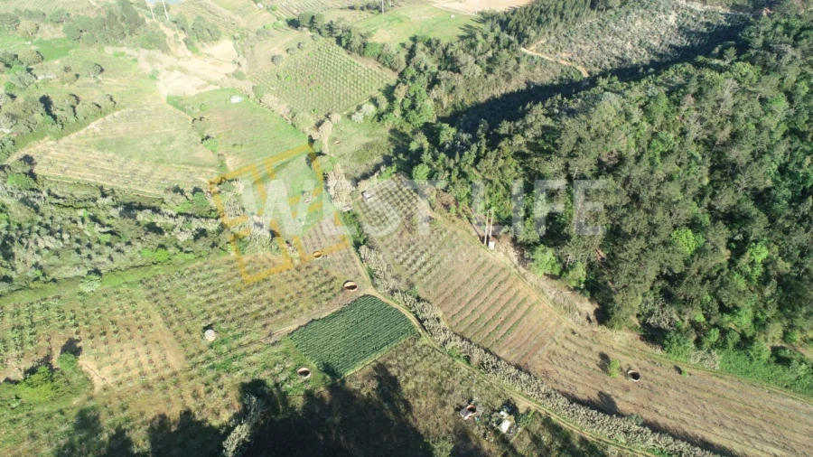 Terreno Agricola ou Rústico para Venda em Azueira e Sobral da Abelheira Foto 10
